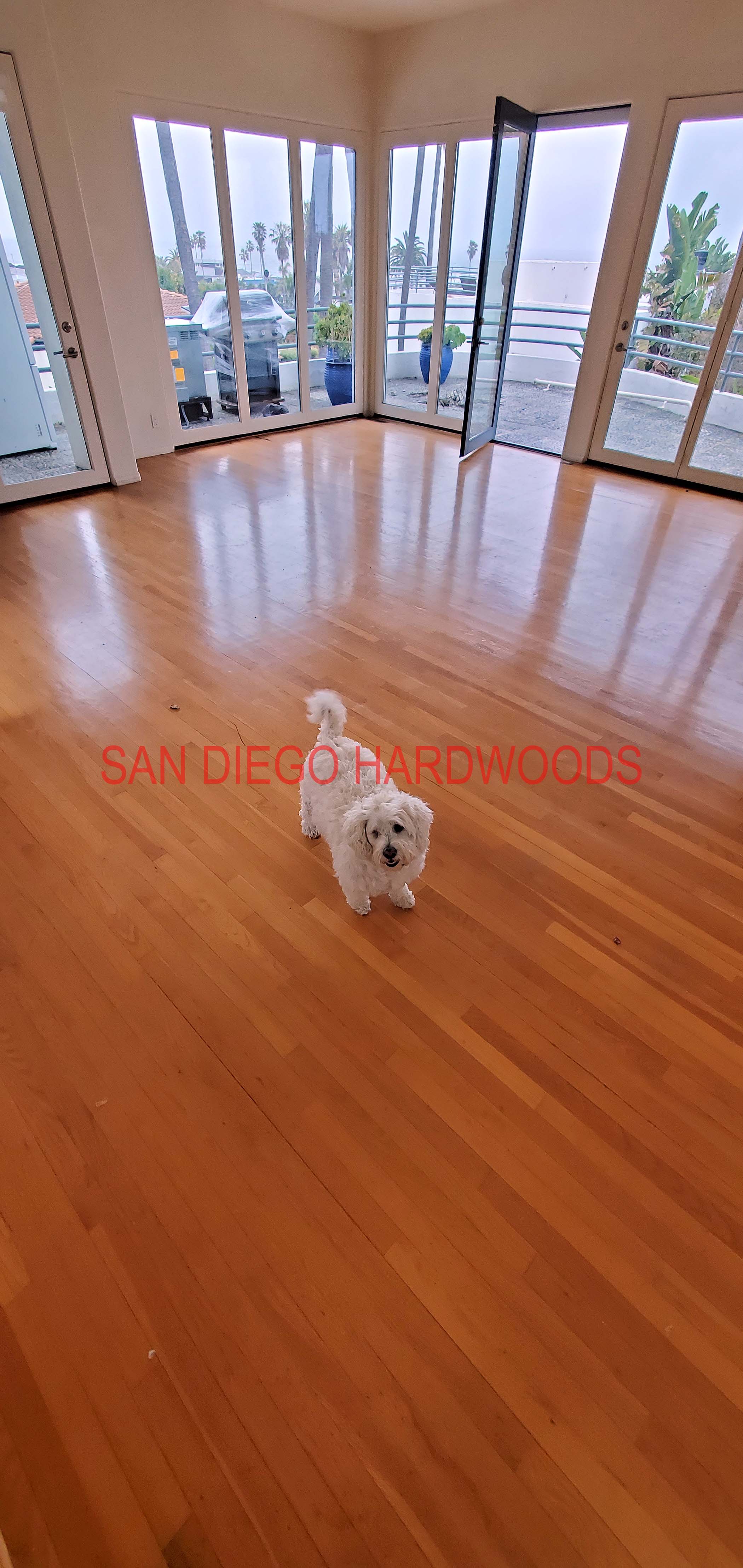 Hardwood floor refinishing and restoration in San Diego — project photo