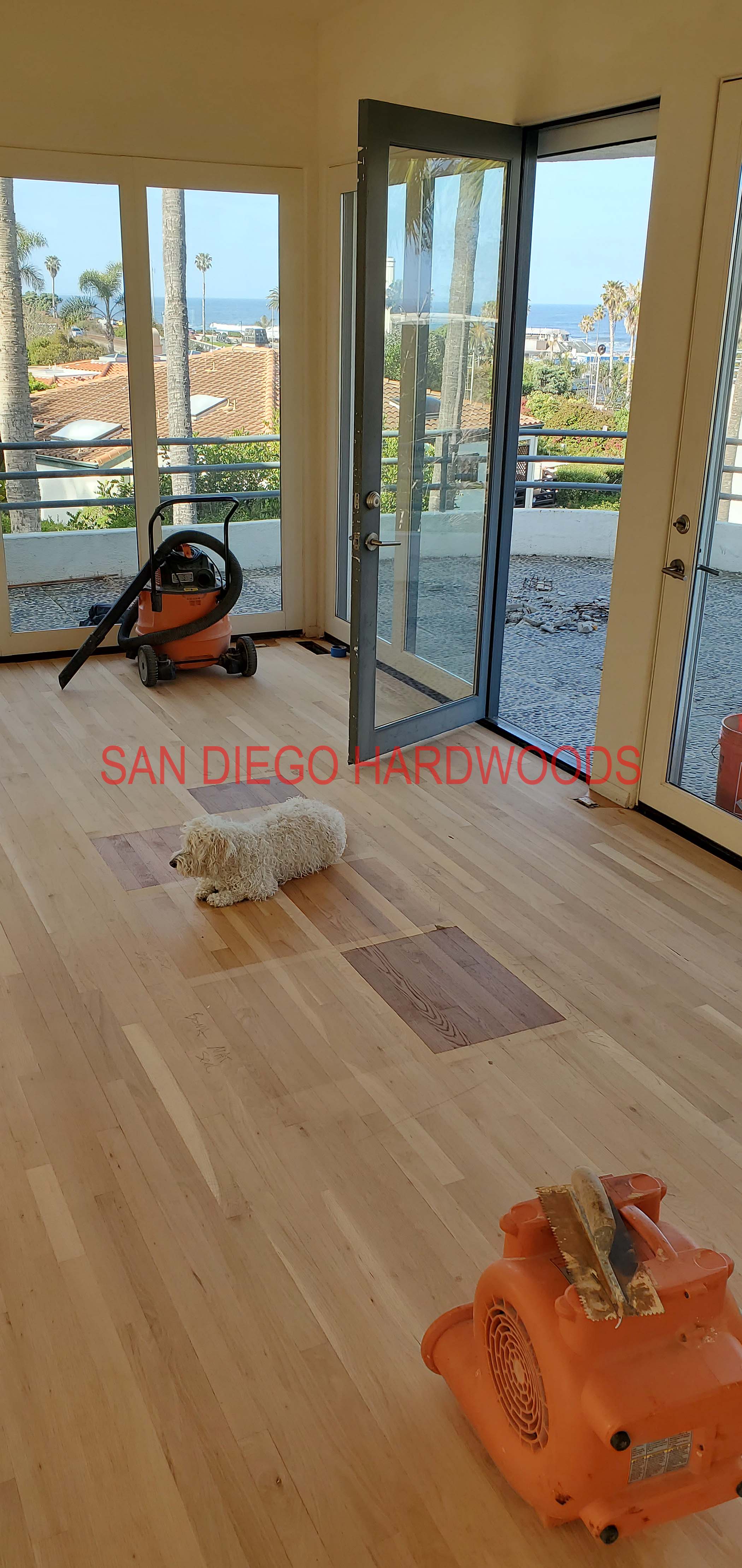 Hardwood floor refinishing and restoration in San Diego — project photo