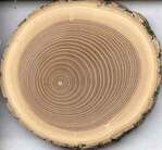 Hardwood floor refinishing and restoration in San Diego — project photo